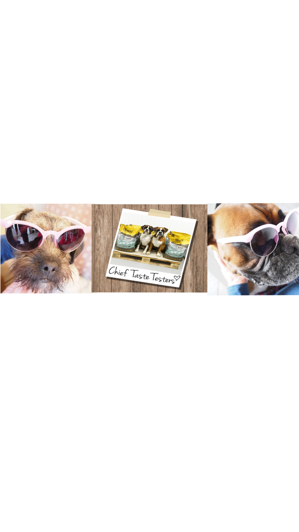 Guest interview with the Hettie pups Mabel and Bruce and Gino and Duke from Guru Pet Food