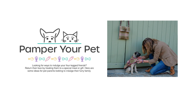 PAMPER YOUR PET ON NATIONAL DOG DAY