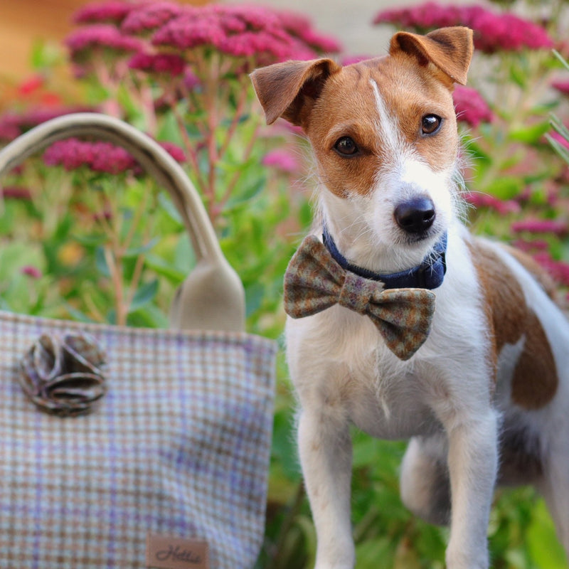 Dog Bowtie - Loch Heather