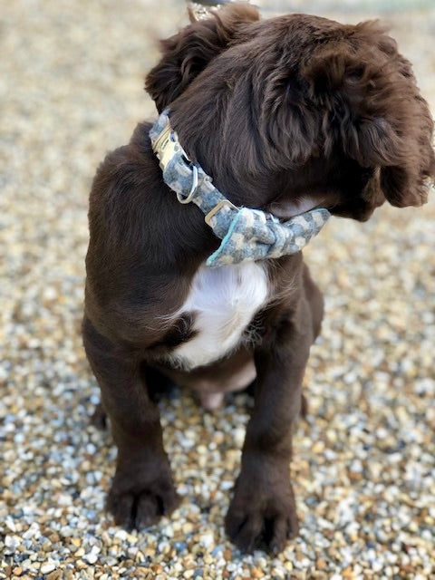 Dog Collar - Holborn Taupe