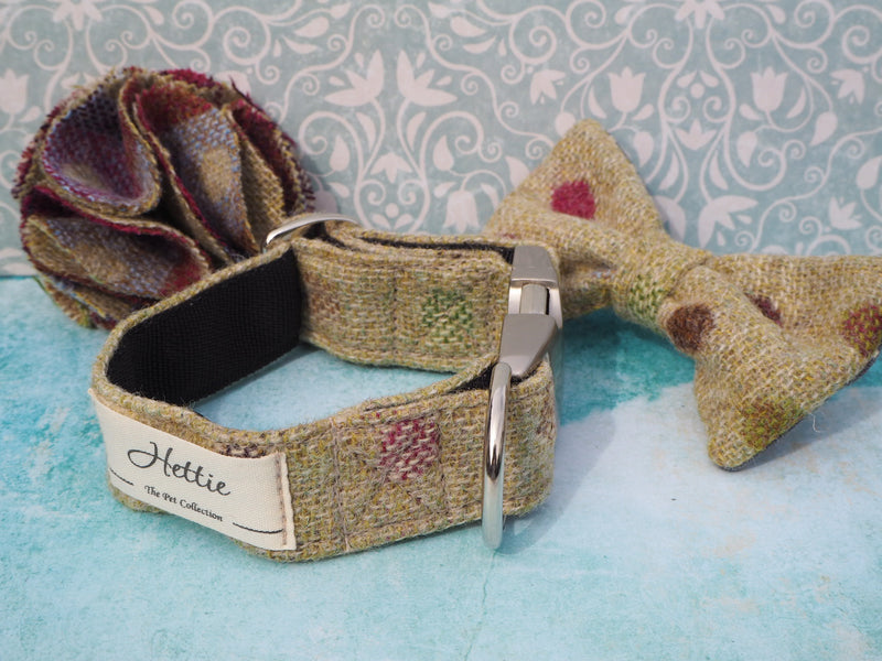 Dog collar flower accessory  - Multispot Lime