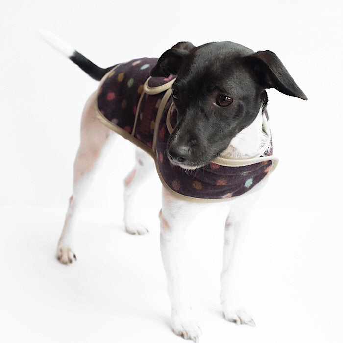 Jasper Dog Coat - Multispot Wine