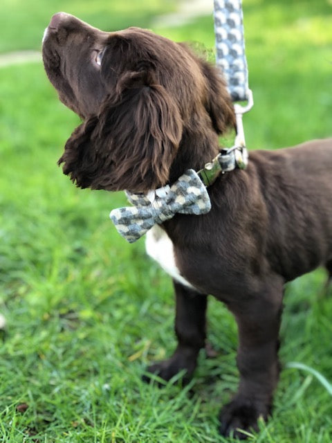 Dog Bowtie - Holborn Taupe