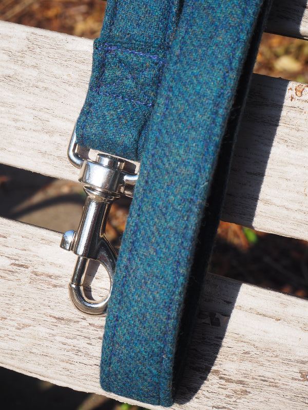 Dog Lead teal limited edition