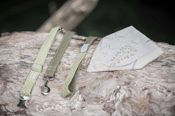 Charlie Dog Bandana - fern