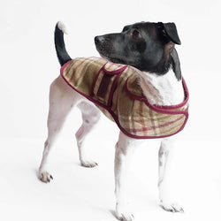 Jasper Dog Coat - Arncliffe Moonstone