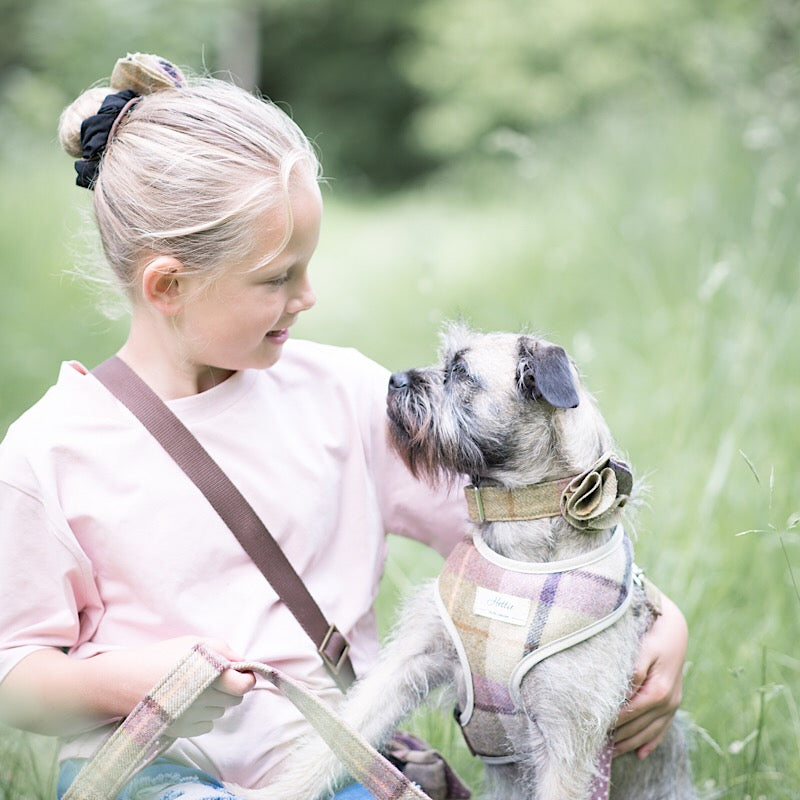 Dog collar flower accessory - Gargrave Lilac