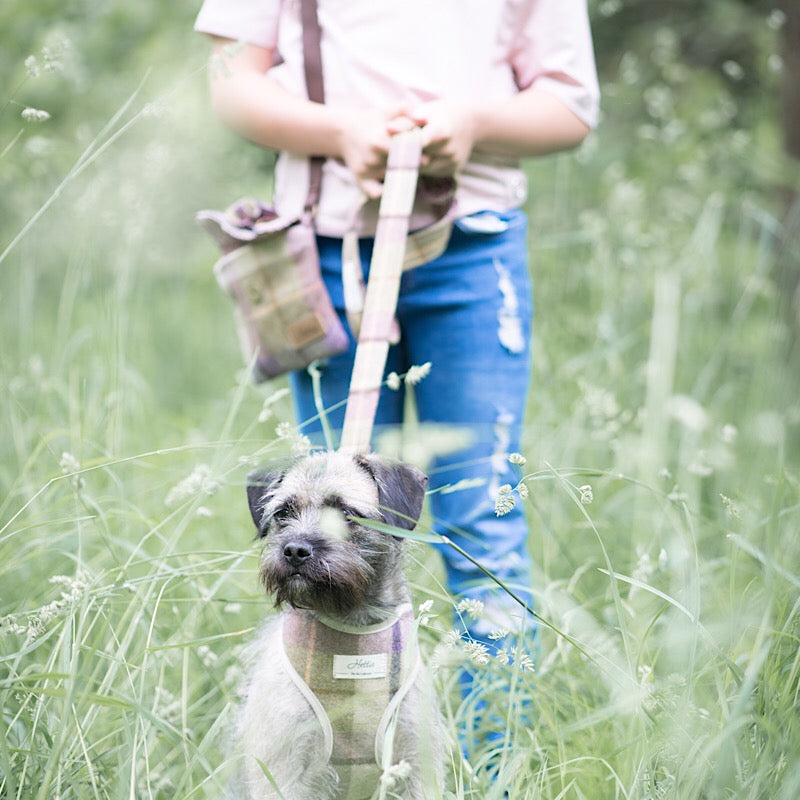 Scooby Dog Harness - Gargrave Lilac