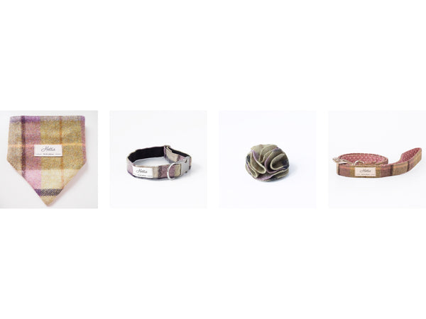 Gift Box for Pets