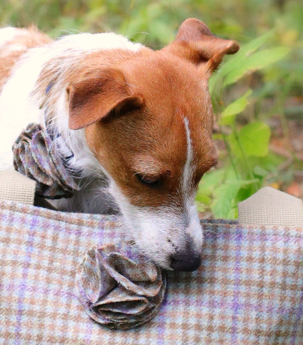 Dog collar flower accessory  - Loch Heather