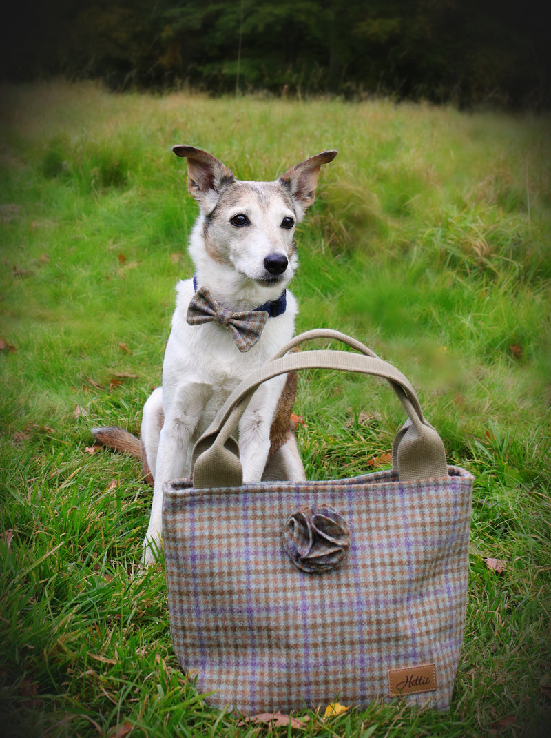 Dog Bowtie - Loch Heather