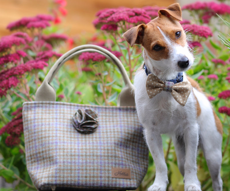 Dog Bowtie - Loch Heather