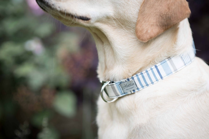 Dog Collar - chambray