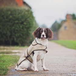 Jasper Dog Coat - Slate Oatmeal