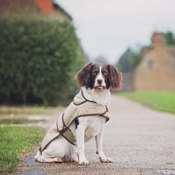 Jasper Dog Coat - Slate Oatmeal