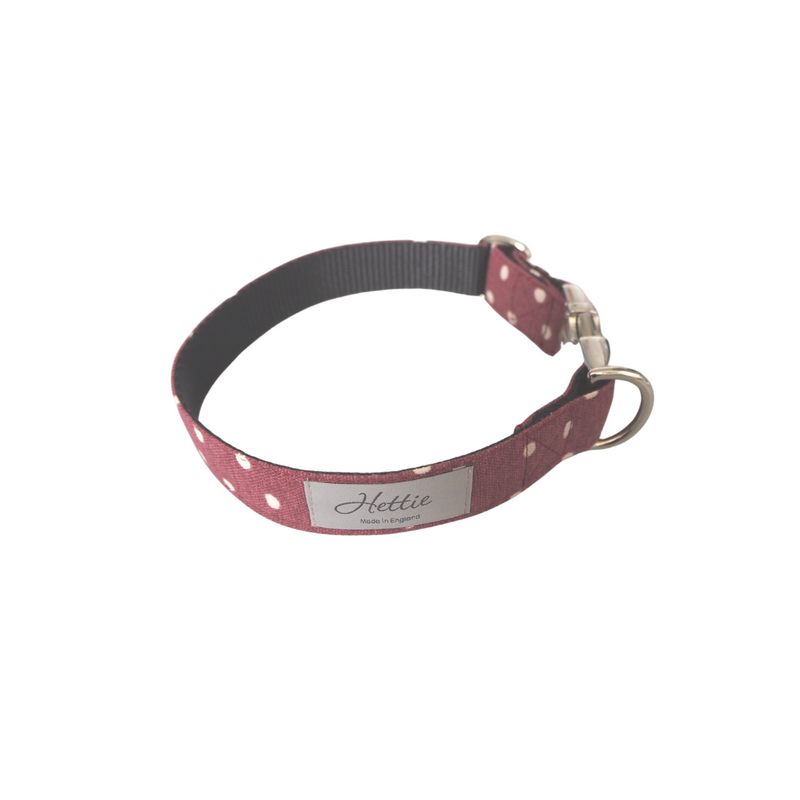 Dog Collar - lavender spot