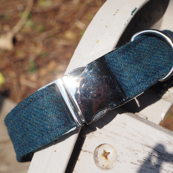 Dog Collar -Teal Limited edition