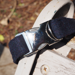 Dog Collar -Navy Limited edition