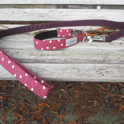 Dog Lead - canvas lavender spot