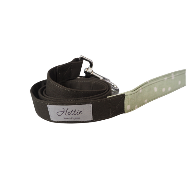 Dog Lead - canvas green spot