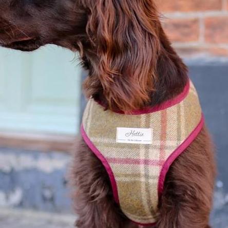 Scooby Dog Harness - Arncliffe Moonstone
