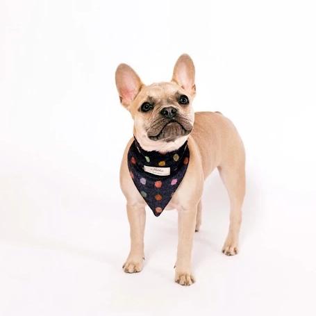 Charlie Dog Bandana - Multispot Wine