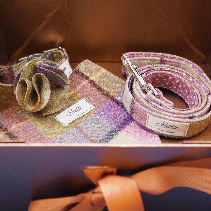 Gift Box for Pets
